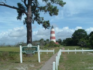 Sapelo Island Half Day Tour