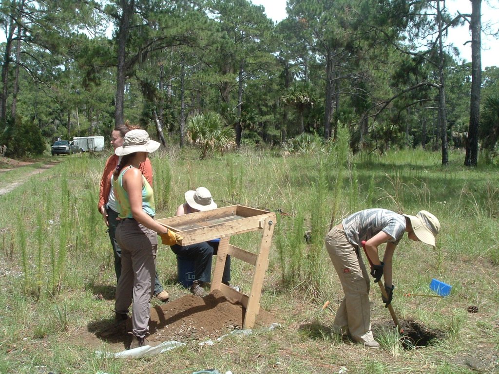 Sapelo Island Half Day Tour | Image #5/12 | 