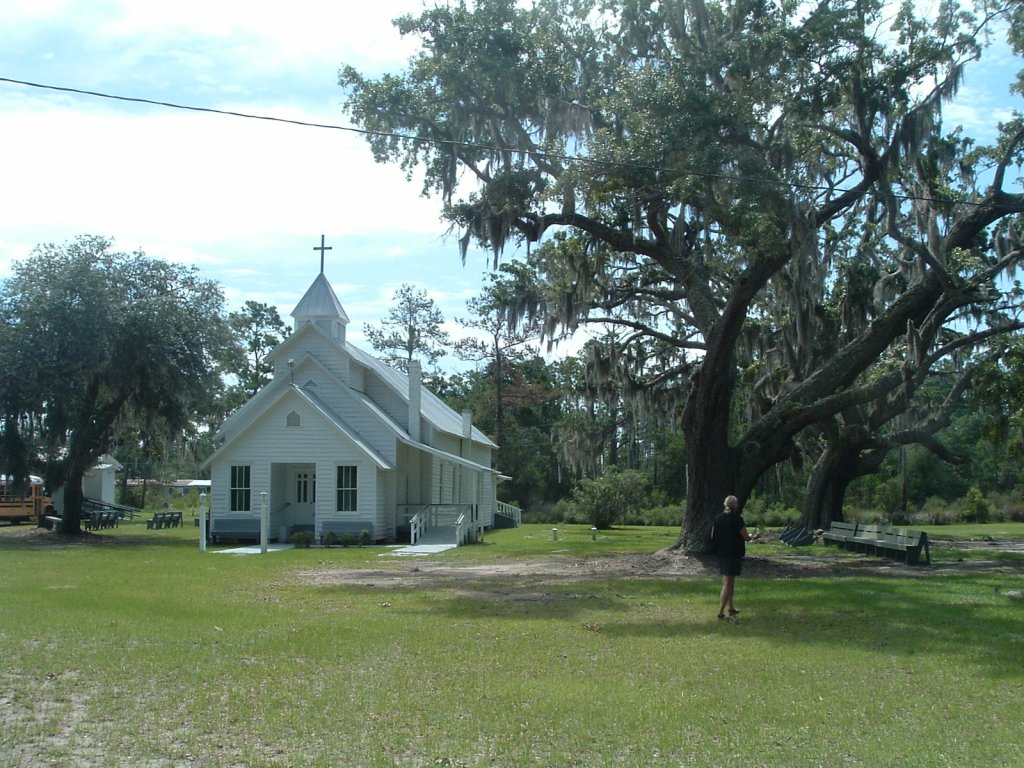 Sapelo Island Half Day Tour | Image #3/12 | 