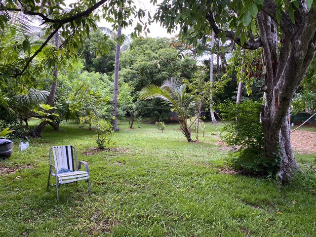 Garden View | Eco-friendly Barbados Chi Centre Guest House | Image #9/15 | 