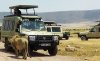 4 Days Tented Camps Safari | Arusha, Tanzania