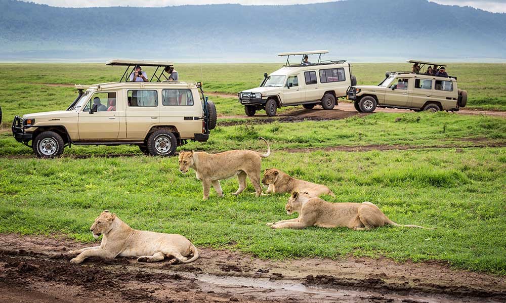 4 Days Tented Camps Safari | Image #2/7 | 