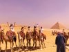 Iconic Egypt Tour - Cairo, Alexandria, Cruise |  cairo, Egypt