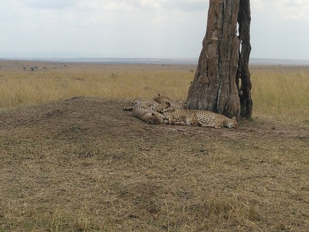 Yha Kenya Travel | Image #12/41 | 