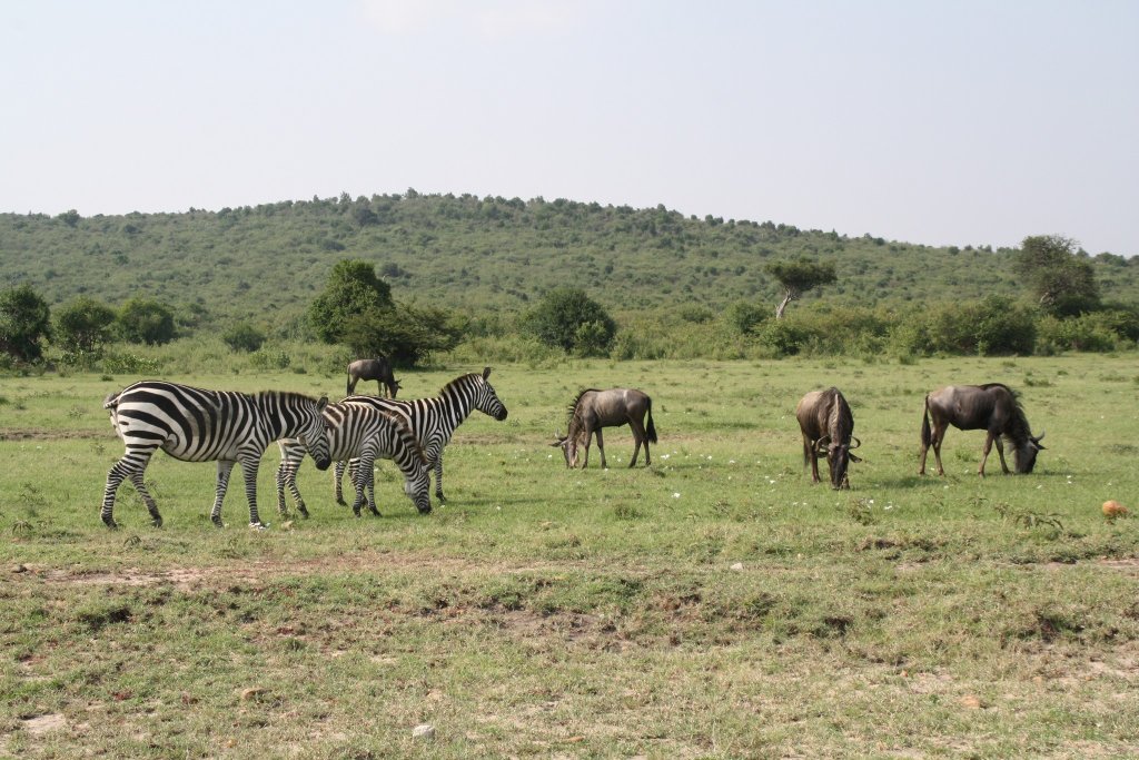 Yha Kenya Travel | Image #22/41 | 