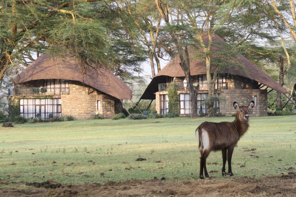 Yha Kenya Travel | Image #21/41 | 