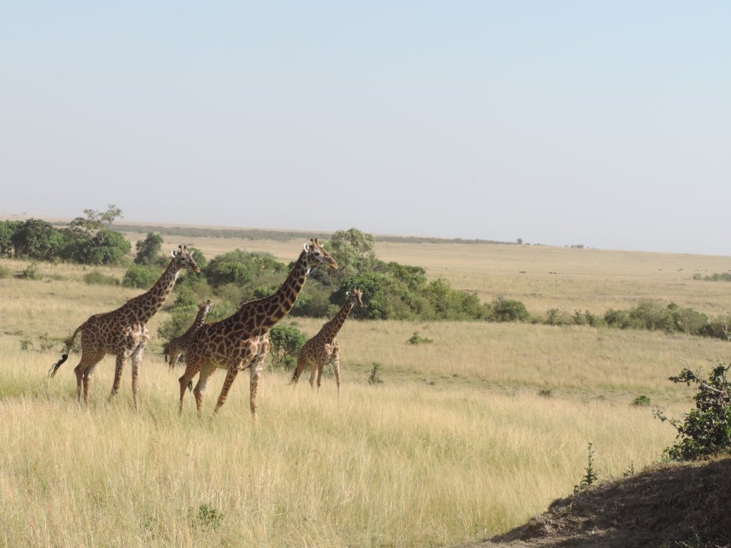 Yha Kenya Travel | Image #7/41 | 