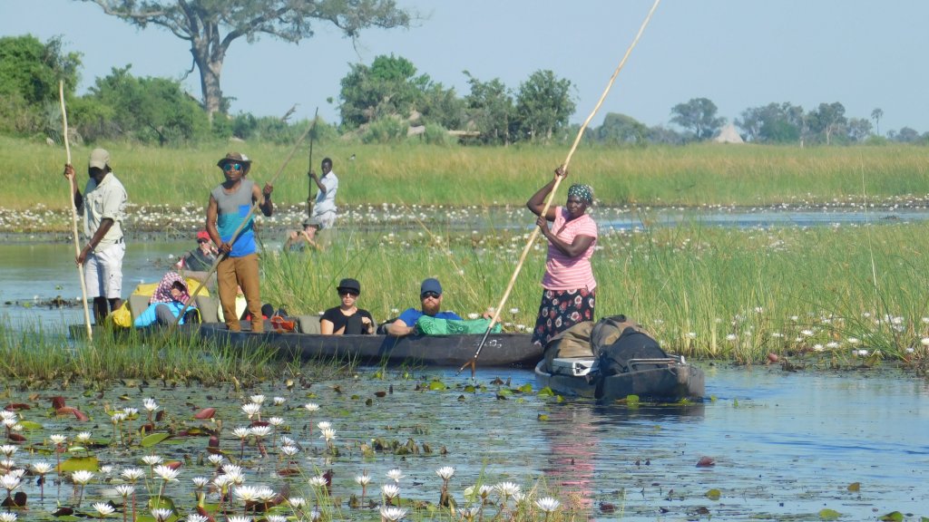 Shipungo Safari & Tours | Maun, Botswana | Sailboat & Yacht Rentals | Image #1/7 | 