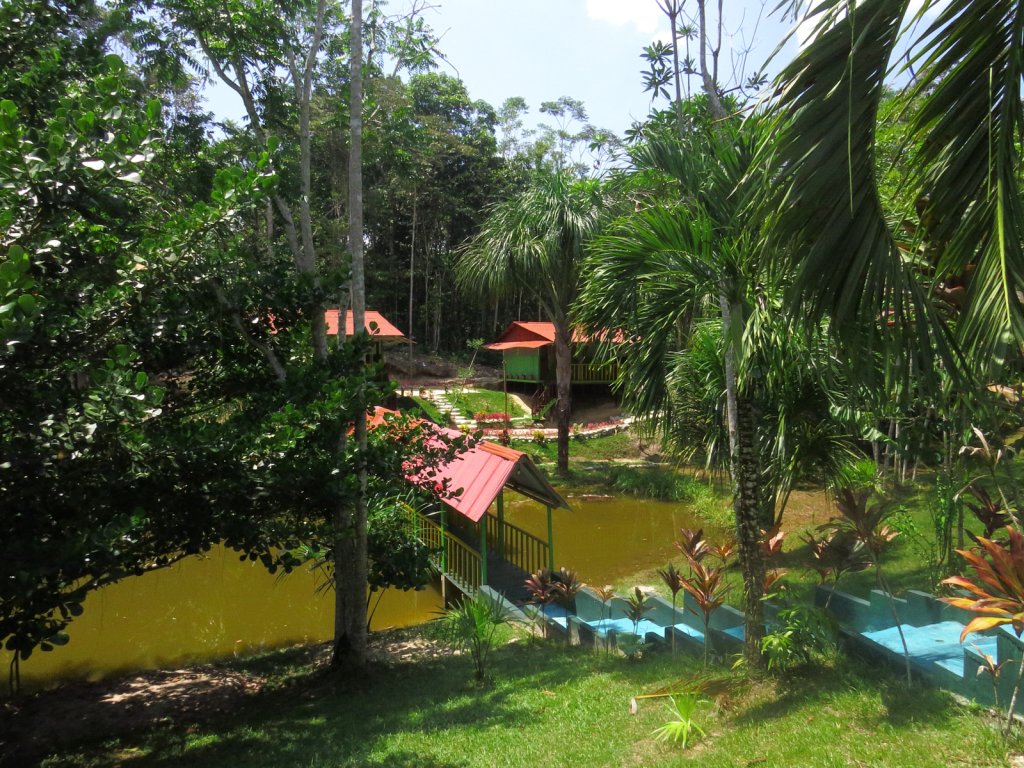 Ayahuasca Retreats at Hummingbird Center, Peru | Image #2/4 | 