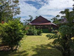 Ayahuasca Retreats at Hummingbird Center, Peru