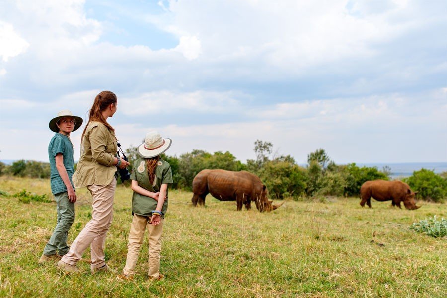 Rhino Walk | Game Drive And Rhino Walking Safari | Image #2/4 | 