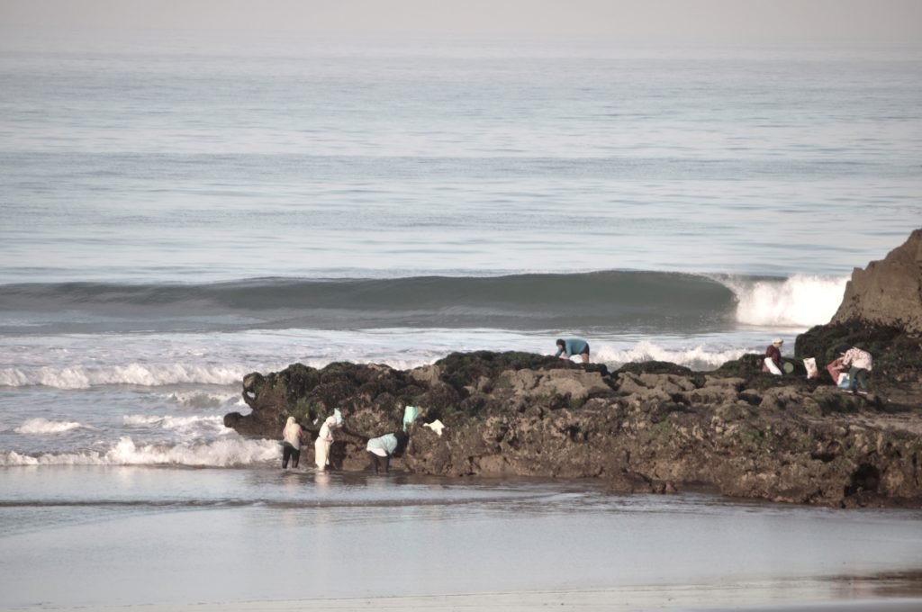 Tazerzit Guesthouse Surf and Yoga Hostel | Agadir, Morocco | Surfing | Image #1/8 | 