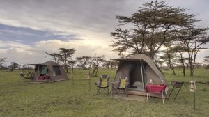 3 Days Camping Safari