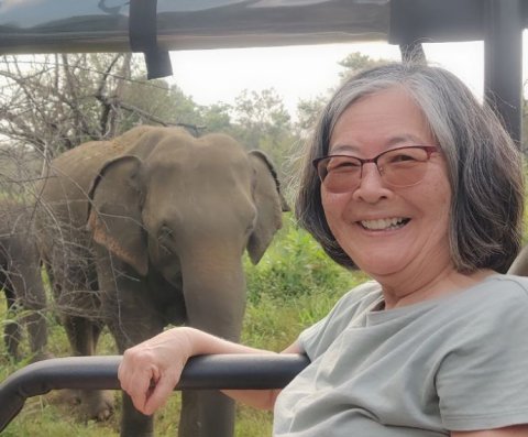 Selfie Time At Minneriya National Park