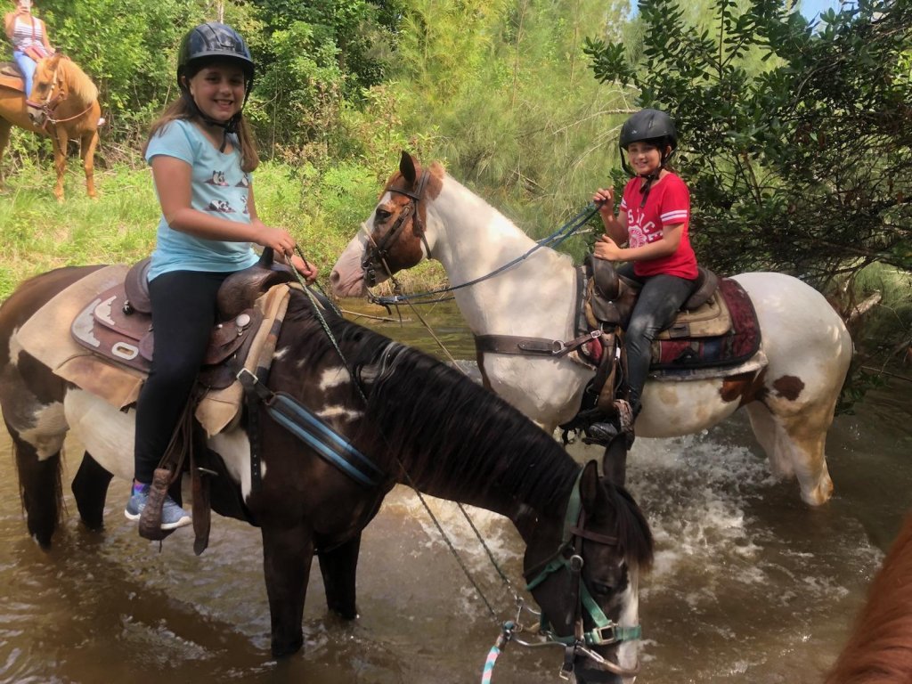 American Horse Trails | Image #5/5 | 