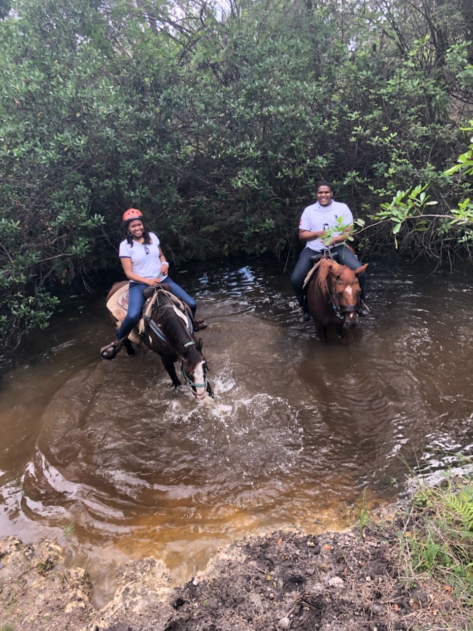 American Horse Trails | Image #2/5 | 