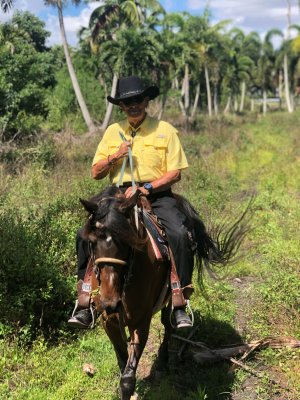 American Horse Trails