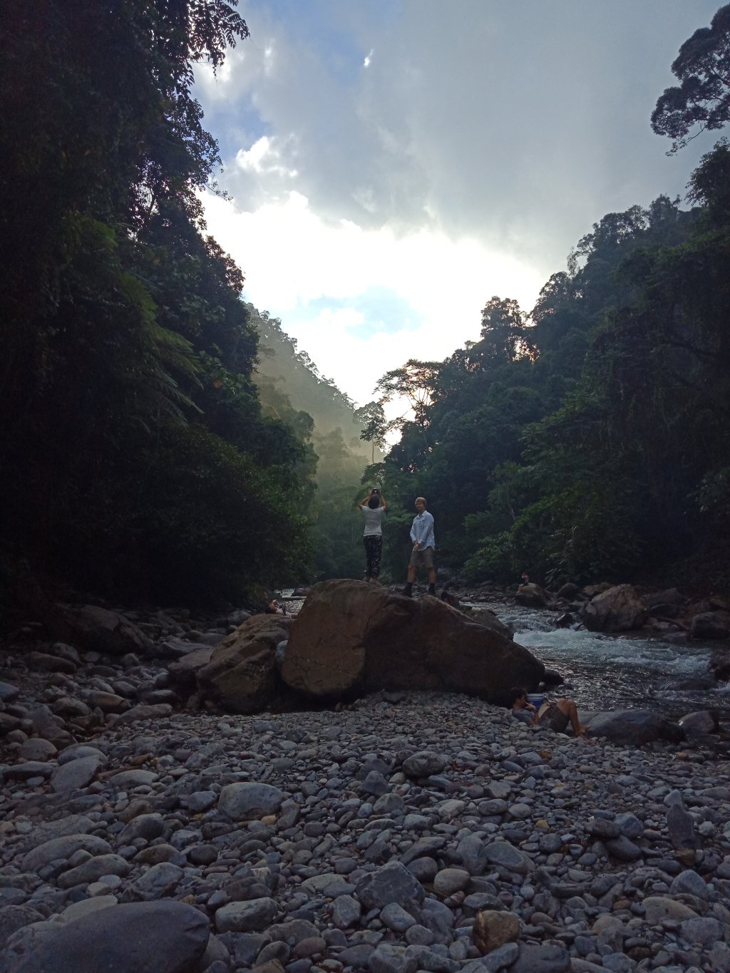 View From Campsite | See the Orangutan and Jungle trekking | Image #3/3 | 