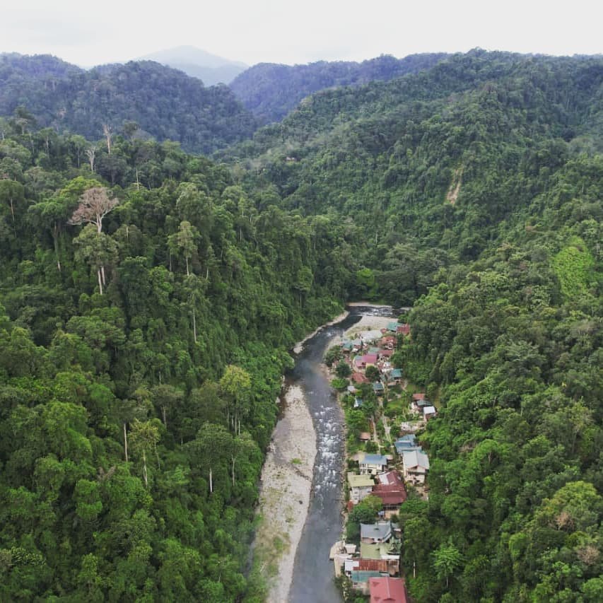 See The Orangutan | See the Orangutan and Jungle trekking | Medan, Indonesia | Hiking & Trekking | Image #1/3 | 