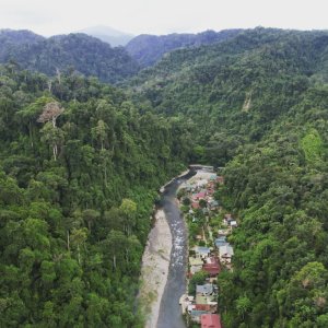 See the Orangutan and Jungle trekking