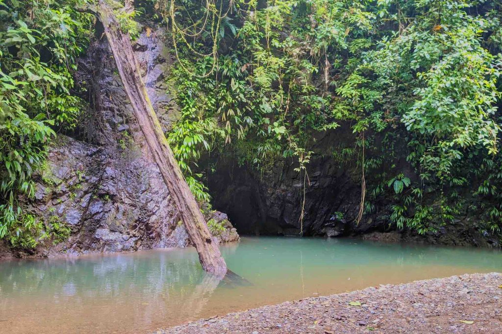 Embera Indian Village, Chagres River And Waterfall | Image #26/37 | 