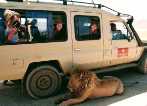 Kenya Wildlife Migrations Masai Mara Photo Safari | Nairobi, Kenya | Wildlife & Safari Tours