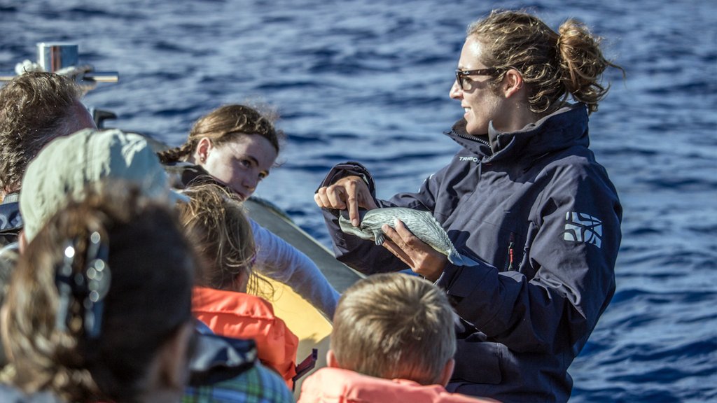 Azores Whale Watching & Islet Boat Tour | Image #6/8 | 