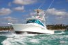 Big Marlin Fishing Charters In Punta Cana | Punta Cana, Dominican Republic