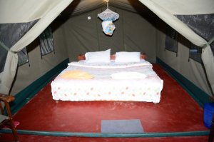 3 Days Masai Mara Group Joining Safari