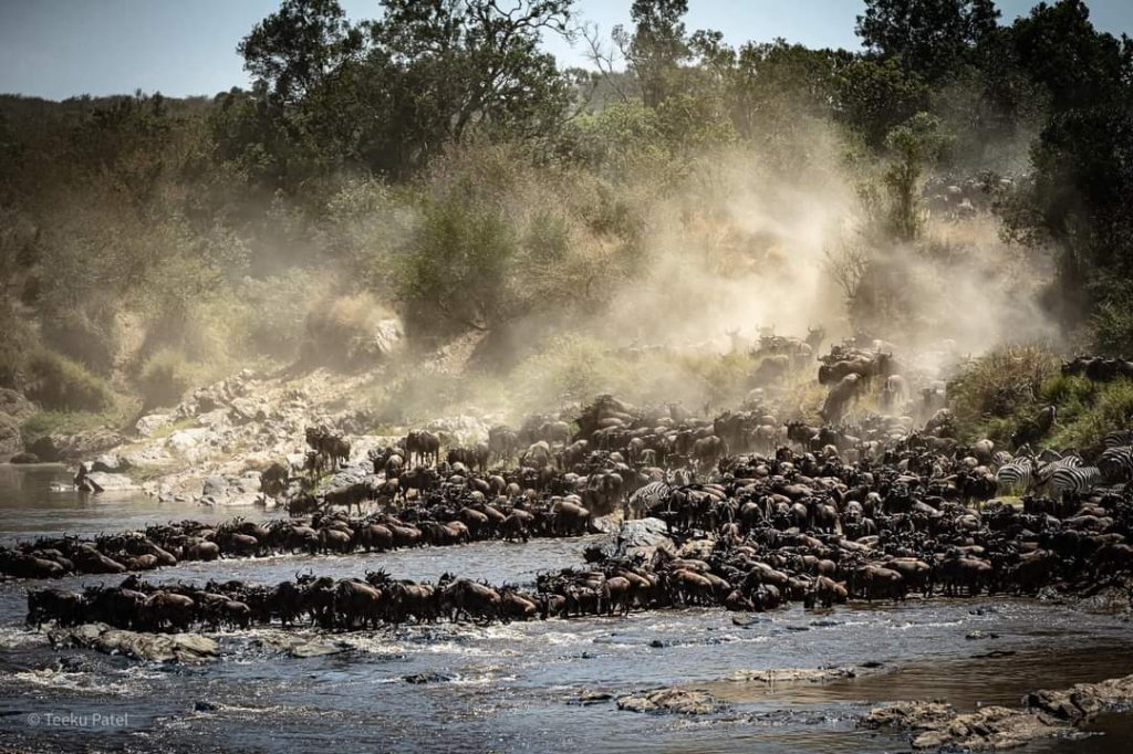 9days Serengeti Great Wildebeest Migration - | Image #6/6 | 