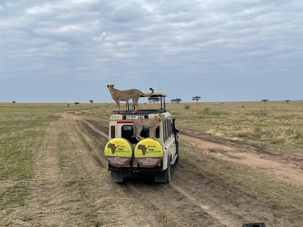 9days Serengeti Great Wildebeest Migration - | Image #2/6 | 