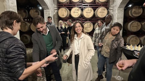 Bodega Mallorca Exclusive Tours And Tasting Experiences