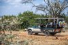 Nairobi National Park Game Drive In An Open Jeep | Nairobi, Kenya