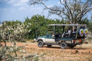 Nairobi National Park Game Drive In An Open Jeep