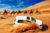 Dubai Desert Safari-camel Ride, Live Shows, Bbq. | Dubai, United Arab Emirates