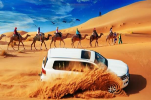 Dubai Desert Safari-camel Ride, Live Shows, Bbq.