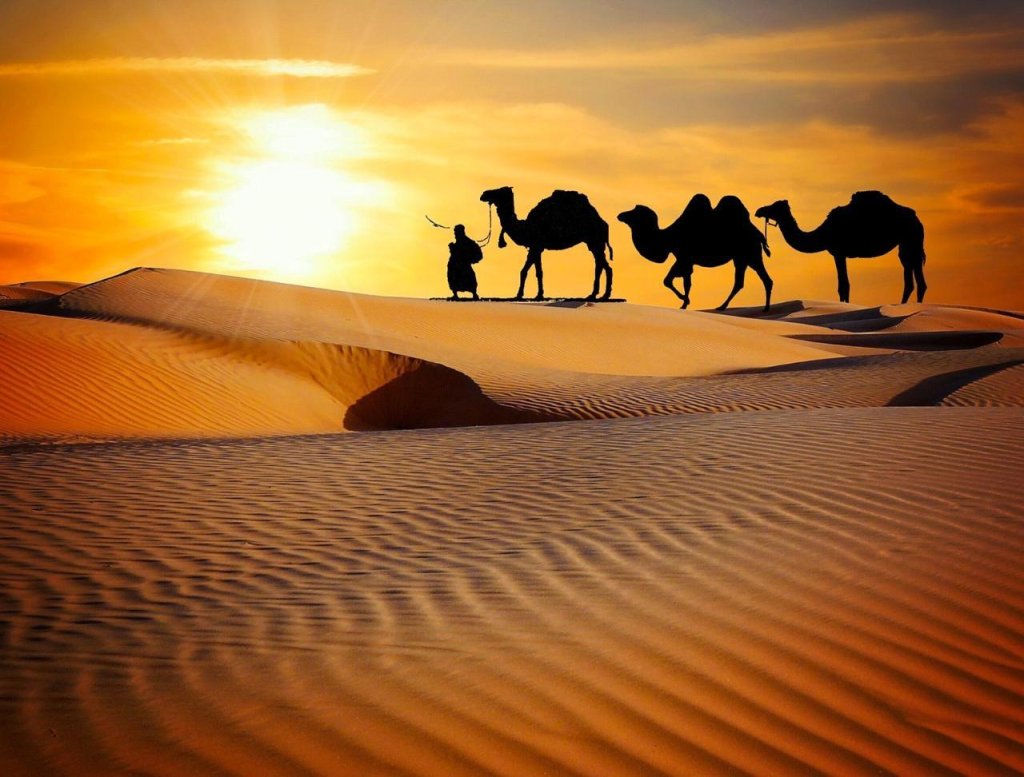 Dubai Desert Safari Atv Camel Ride Live Shows Bbq | Image #3/14 | 