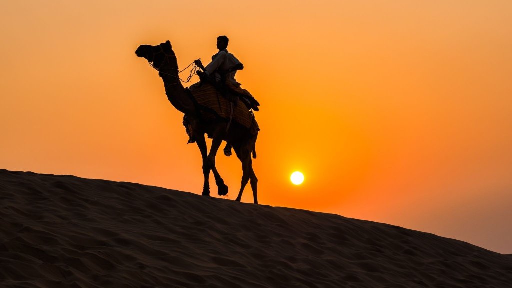 Dubai Desert Safari Atv Camel Ride Live Shows Bbq | Image #12/14 | 